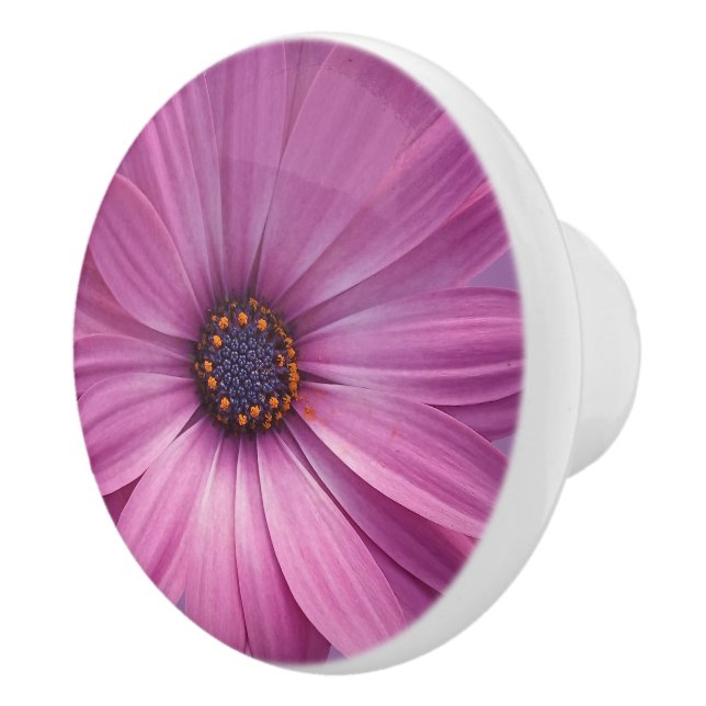 Colorful Medley of African Daisies Flowers Ceramic Knob (Right)