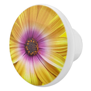 Colorful Medley of African Daisies Flowers Ceramic Knob