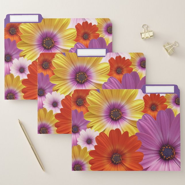 Colorful Medley of African Daisies Flowers File Folder (Set)