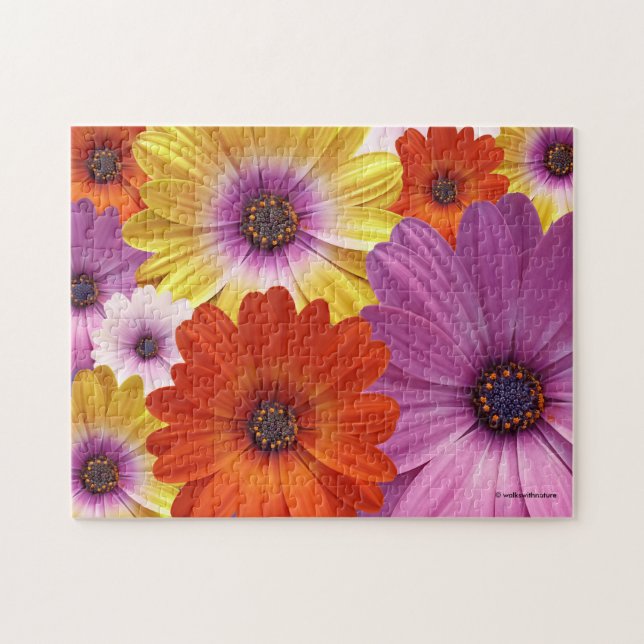 Colorful Medley of African Daisies Flowers Jigsaw Puzzle (Horizontal)