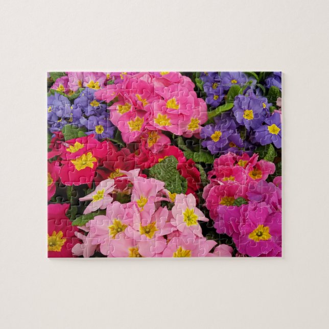 Colorful Medley Pink Blue Purple Primula Flowers Jigsaw Puzzle (Horizontal)