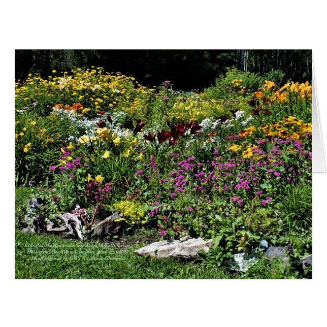 Colorful Mid Summer Garden Cards (Front Horizontal)