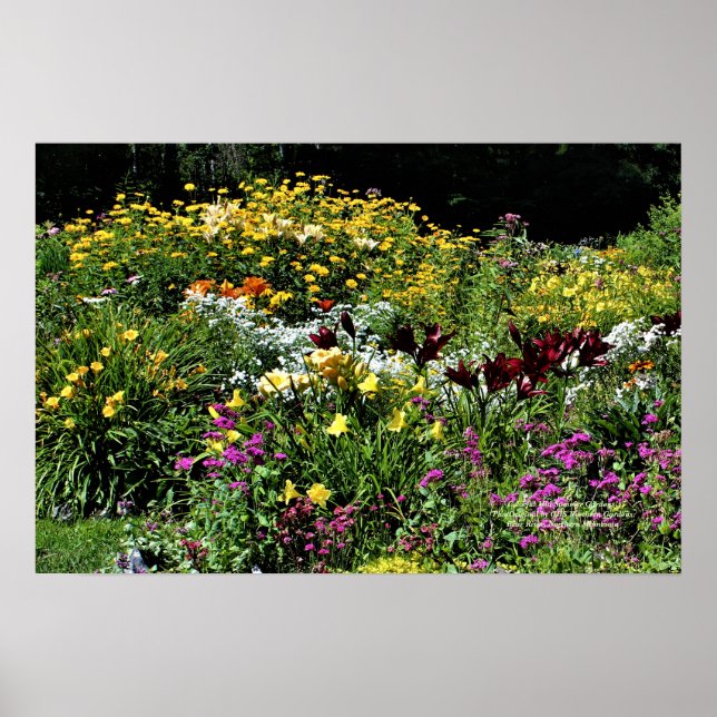 Colorful Mid Summer Gardens! Poster (Front)