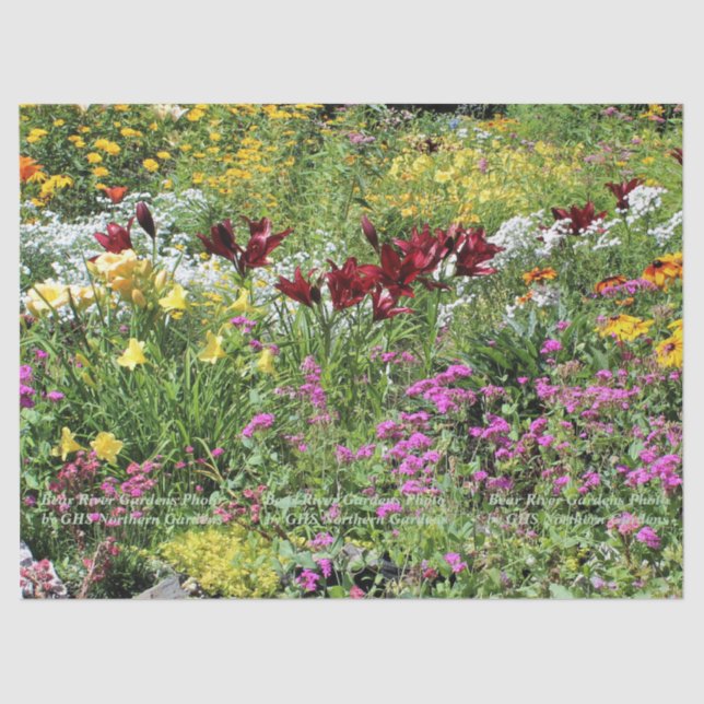 Colorful Mid Summer Gardens! Tissue Paper (Front)