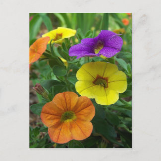 Colorful Million Bells Floral Postcard