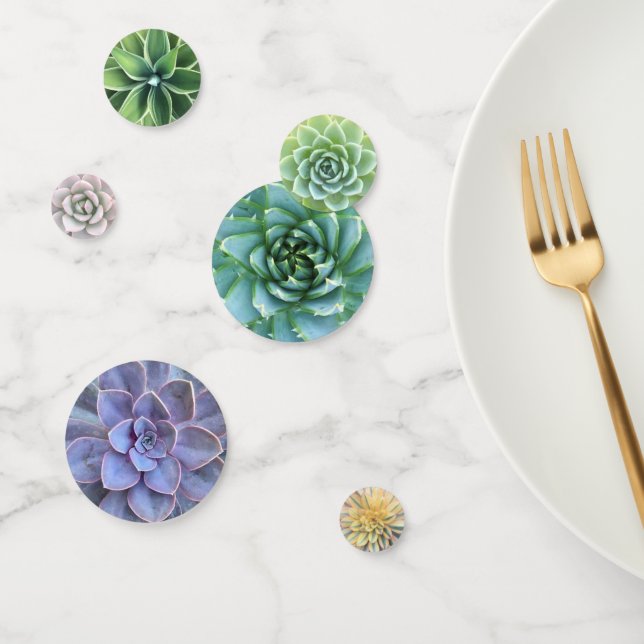 Colorful Mix of  Succulents Confetti (Group)