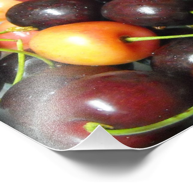Colorful Mixed Cherries Food Photography Prints (Corner)