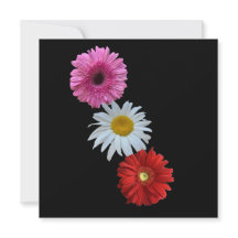 Colorful Mixed Floral Daisy Flat Note Card