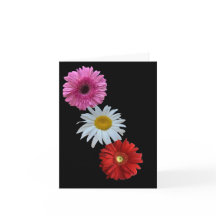 Colorful Mixed Floral Daisy Flat Note Card