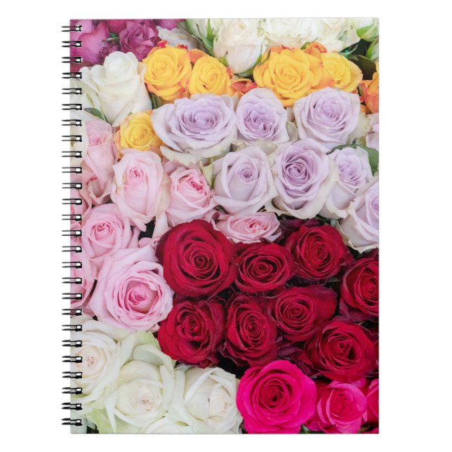 Colorful Mixed Roses Notebook (Front)