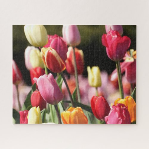 Colorful Mixed tulips in the garden Jigsaw Puzzle