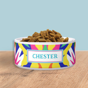 Colorful Modern Ceramic Pet Bowl