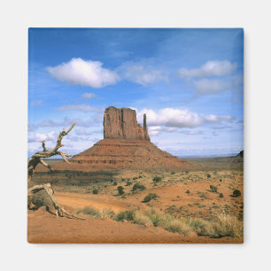 Colorful Monument Valley Mittens in Utah USA Magnet