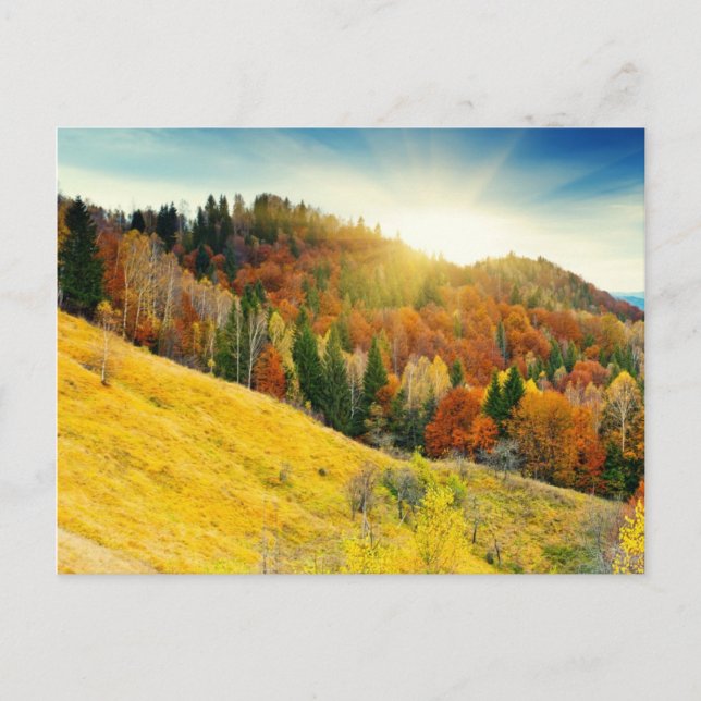 Colorful mountain autumn landscape postcard (Front)