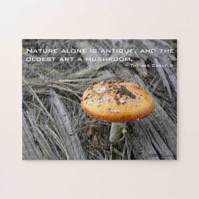 Colorful Mushroom Busting Through Jigsaw Puzzle (Horizontal)