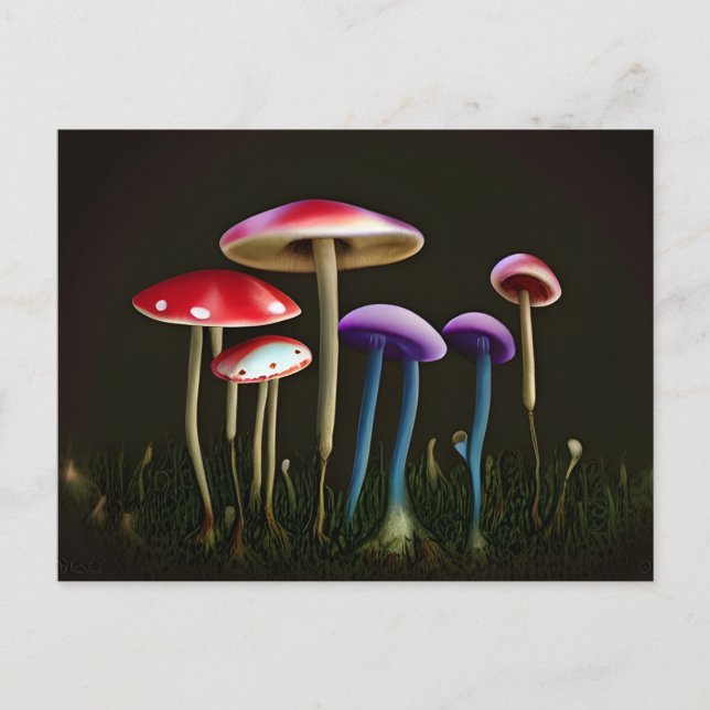 Colorful Mushrooms Postcard (Front)