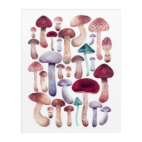 Colorful  Mushrooms Watercolor illustration   Acrylic Print