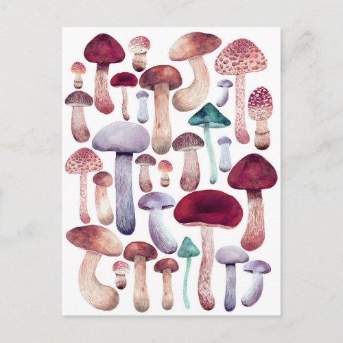 Colorful  Mushrooms Watercolor illustration   Postcard