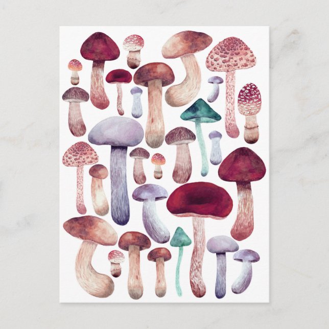 Colorful  Mushrooms Watercolor illustration   Postcard (Front)