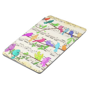 Colorful Musical Birds Spring iPad Air Cover