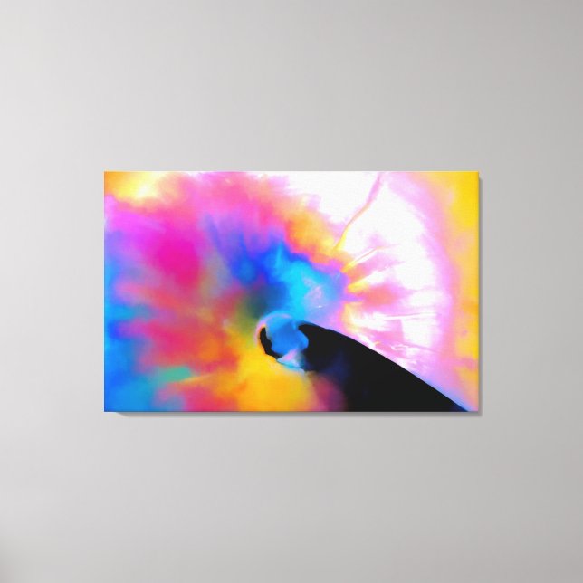 Colorful Nautilus Canvas Print (Front)