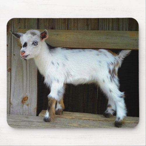 Colorful Nigerian Dwarf Dairy Goat Kid Mouse Pad