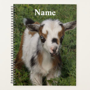 Colorful Nigerian Dwarf Dairy Goat Kid Planner