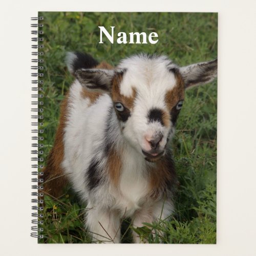 Colorful Nigerian Dwarf Dairy Goat Kid Planner