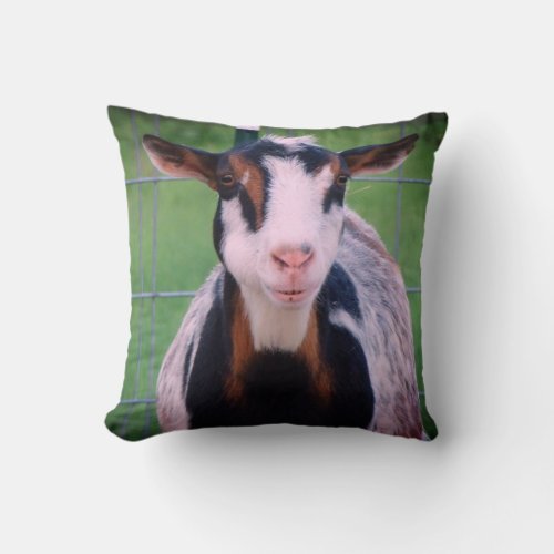 Colorful Nigerian Dwarf Dairy Goat Throw Pillow