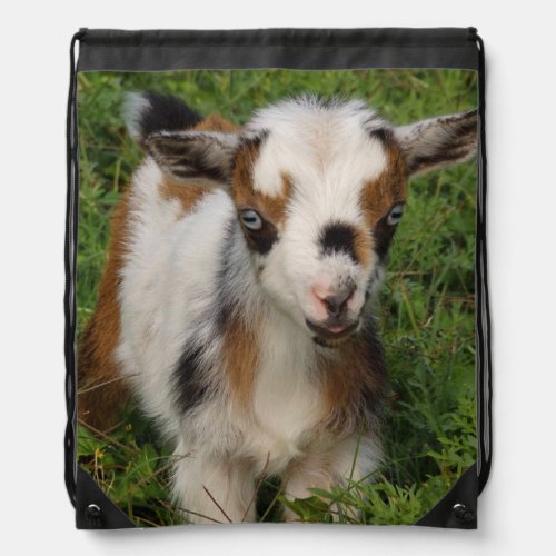 Colorful Nigerian Dwarf Goat Kid with Blue Eyes Drawstring Bag