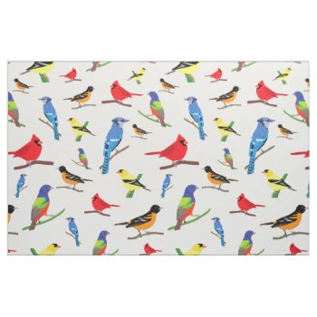 Colorful North American Birds Pattern Fabric by judgeart at Zazzle