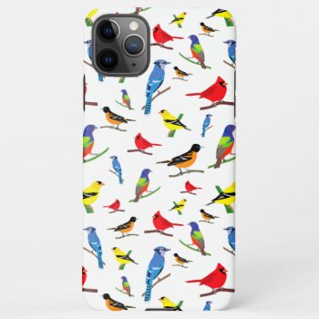 Colorful North American Birds Pattern Iphone 11pro Max Case by judgeart at Zazzle