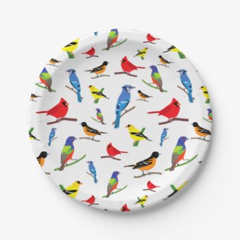 Colorful North American Birds Pattern Samsung Gala Paper Plates by judgeart at Zazzle