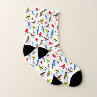 Colorful North American Birds Pattern