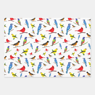 Colorful North American Birds Pattern Wrapping Paper Sheets