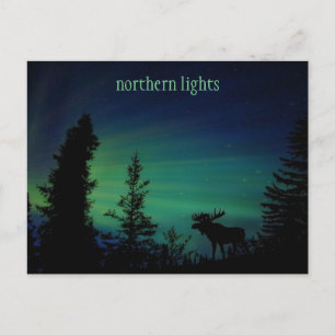 Colorful Northern Lights Sky Postcard