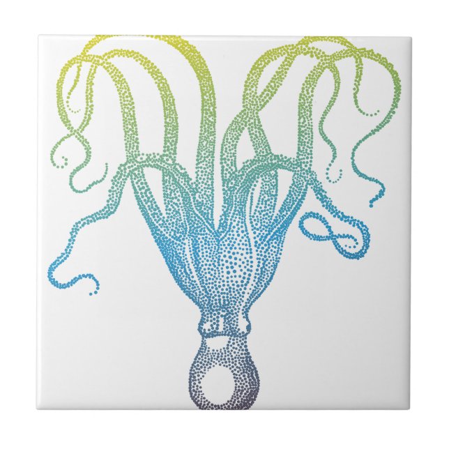 colorful octopus silhouette ceramic tile (Front)