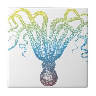 colorful octopus silhouette tile