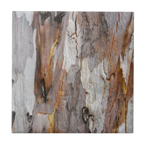 Colorful old tree bark texture tile