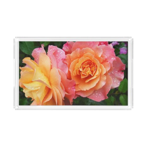 Colorful ombre roses photo acrylic tray