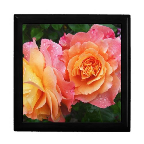 Colorful ombre roses photo gift box