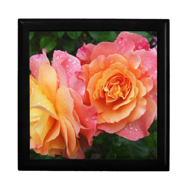 Colorful ombre roses photo gift box (Front)