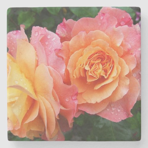 Colorful ombre roses photo stone coaster