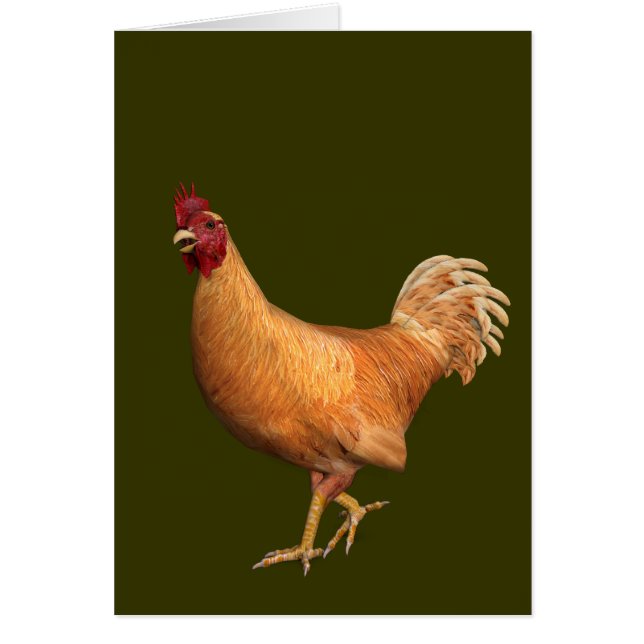 Colorful Orange Rooster Cards (Front)