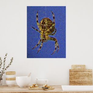 Colorful Orb Spider Poster