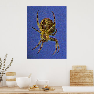 Colorful Orb Spider Poster