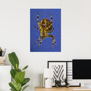 Colorful Orb Spider Poster