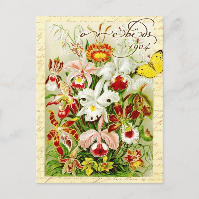 Colorful Orchids and yellow butterfly Postcard (Front)
