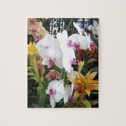 Colorful Orchids Jigsaw Puzzle