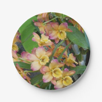 Colorful Orchids Paper Plates by Rinchen365flower at Zazzle